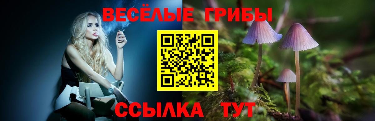 Галлюциногенные грибы Magic Shrooms  Вход с VPN  Каменск-Уральский 